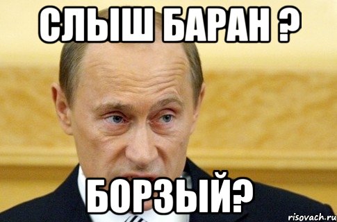 слыш баран ? борзый?, Мем путин