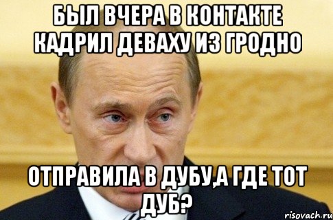 был вчера в контакте кадрил деваху из гродно отправила в дубу,а где тот дуб?, Мем путин