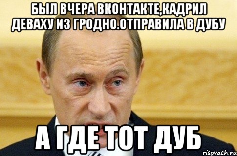 был вчера вконтакте,кадрил деваху из гродно.отправила в дубу а где тот дуб, Мем путин