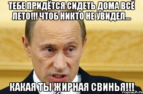 тебе придётся сидеть дома всё лето!!! чтоб никто не увидел... какая ты жирная свинья!!!, Мем путин