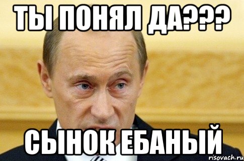 ты понял да??? сынок ебаный, Мем путин