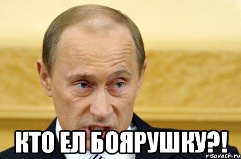  кто ел боярушку?!, Мем путин