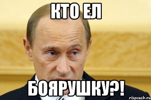 кто ел боярушку?!, Мем путин