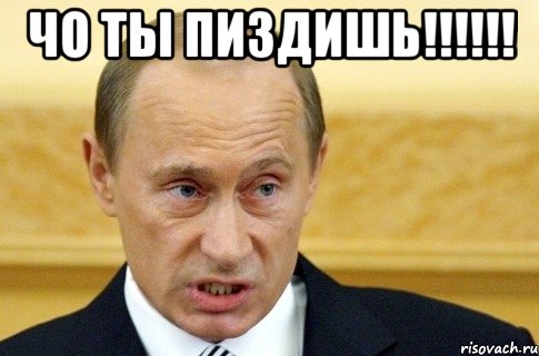 чо ты пиздишь!!! , Мем путин