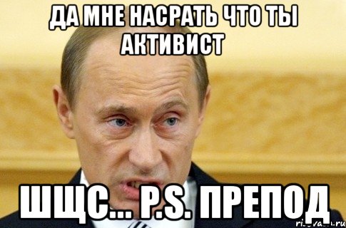 да мне насрать что ты активист шщс... p.s. препод, Мем путин