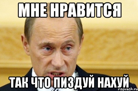 мне нравится так что пиздуй нахуй, Мем путин