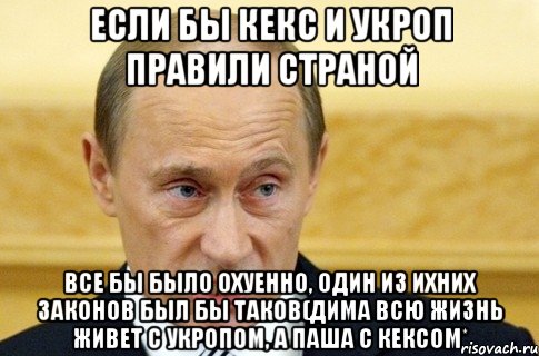 если бы кекс и укроп правили страной все бы было охуенно, один из ихних законов был бы таков(дима всю жизнь живет с укропом, а паша с кексом*, Мем путин