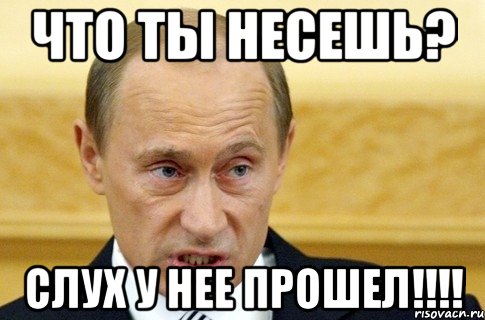 что ты несешь? слух у нее прошел!!!, Мем путин