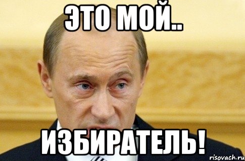 это мой.. избиратель!, Мем путин