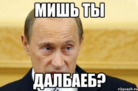 мишь ты далбаеб?, Мем путин