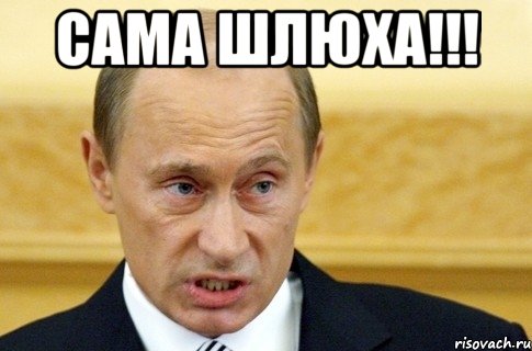 сама шлюха!!! , Мем путин