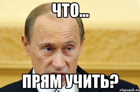 что... прям учить?, Мем путин