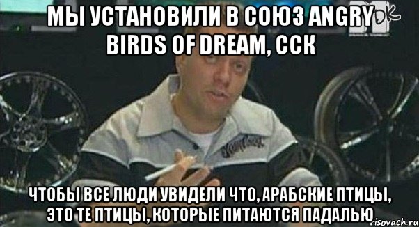 мы установили в союз angry birds of dream, сск чтобы все люди увидели что, арабские птицы, это те птицы, которые питаются падалью, Мем Монитор (тачка на прокачку)