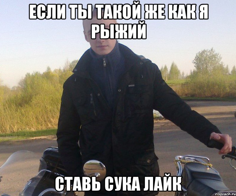 если ты такой же как я рыжий ставь сука лайк