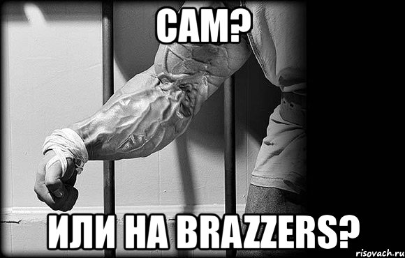 сам? или на brazzers?, Мем сам или на brazzers