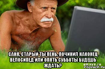  саня, старый ты пень, починил наконец велосипед или опять субботы будешь ждать?, Мем Саня велосипед