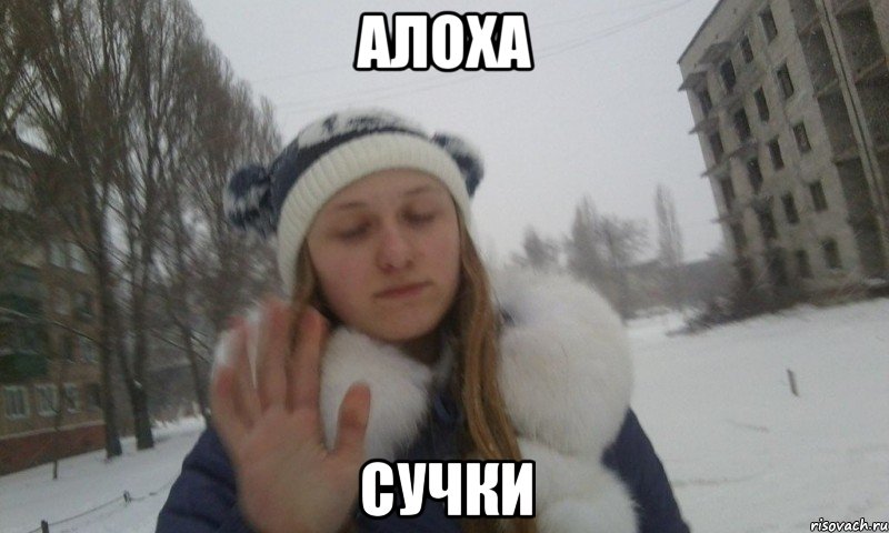 алоха сучки, Мем шах