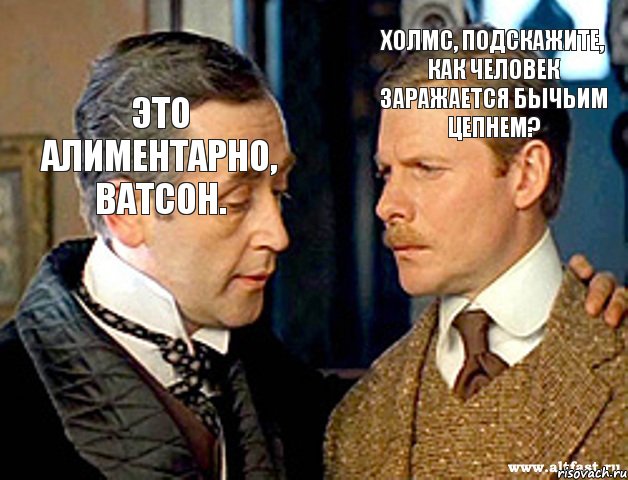 Холмс, подскажите, как человек заражается бычьим цепнем? Это алиментарно, Ватсон., Комикс шерлок