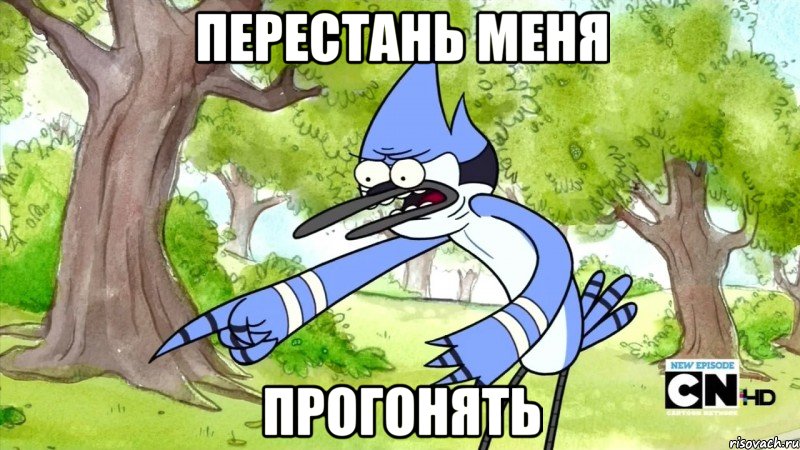 перестань меня прогонять, Мем шоу