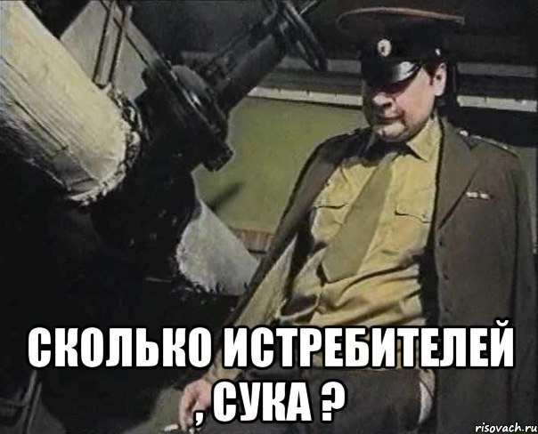  сколько истребителей , сука ?, Мем Сколько истребителей  сука 