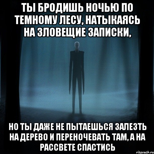 ты бродишь ночью по темному лесу, натыкаясь на зловещие записки, но ты даже не пытаешься залезть на дерево и переночевать там, а на рассвете спастись