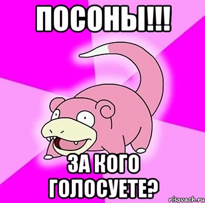 посоны!!! за кого голосуете?