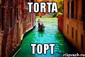 torta торт