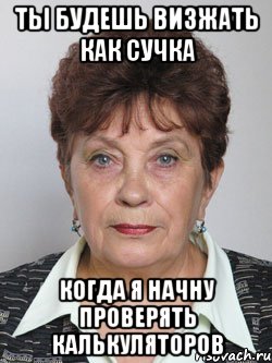 ты будешь визжать как сучка когда я начну проверять калькуляторов, Мем сметана
