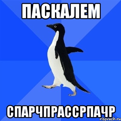 паскалем спарчпрассрпачр, Мем  Социально-неуклюжий пингвин