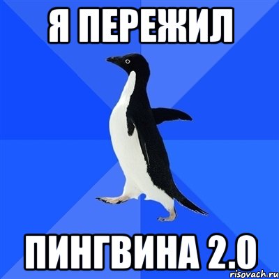 я пережил пингвина 2.0, Мем  Социально-неуклюжий пингвин