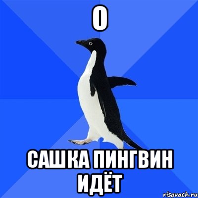 о сашка пингвин идёт, Мем  Социально-неуклюжий пингвин