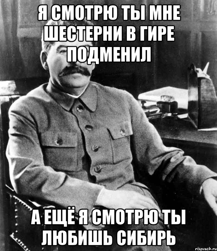 я смотрю ты мне шестерни в гире подменил а ещё я смотрю ты любишь сибирь, Мем  иосиф сталин