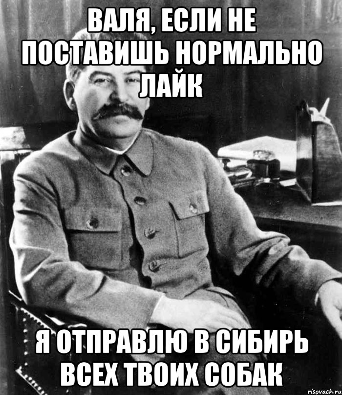 валя, если не поставишь нормально лайк я отправлю в сибирь всех твоих собак, Мем  иосиф сталин