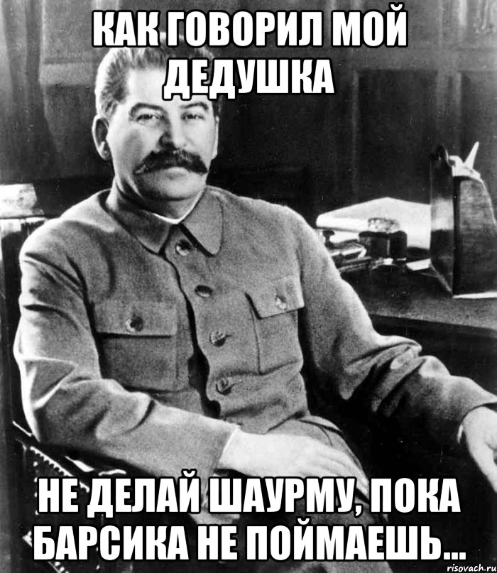 как говорил мой дедушка не делай шаурму, пока барсика не поймаешь..., Мем  иосиф сталин