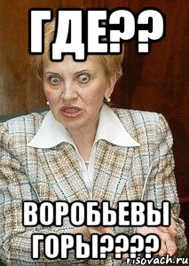 где?? воробьевы горы???