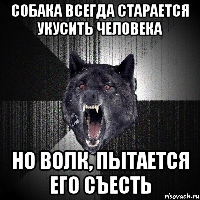 собака всегда старается укусить человека но волк, пытается его съесть, Мем Сумасшедший волк