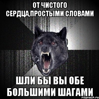 от чистого сердца,простыми словами шли бы вы обе большими шагами, Мем Сумасшедший волк