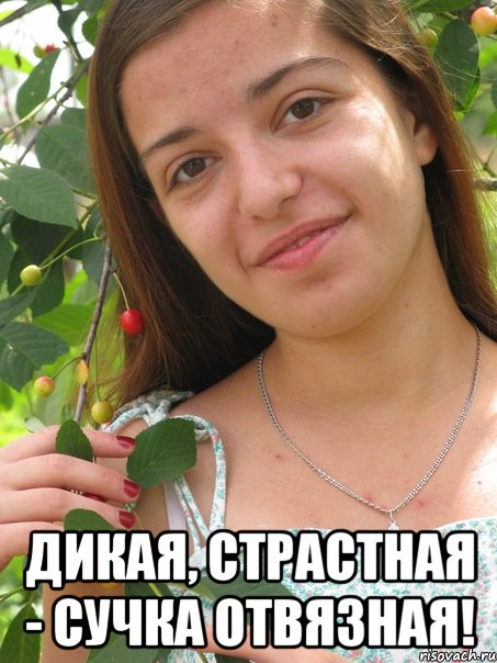  дикая, страстная - сучка отвязная!, Мем Типичная Циммеринова