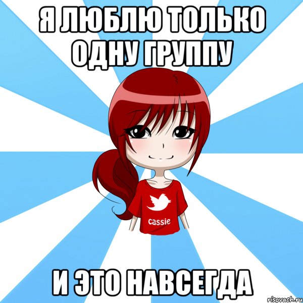 я люблю только одну группу и это навсегда, Мем типичный твиттерский касси