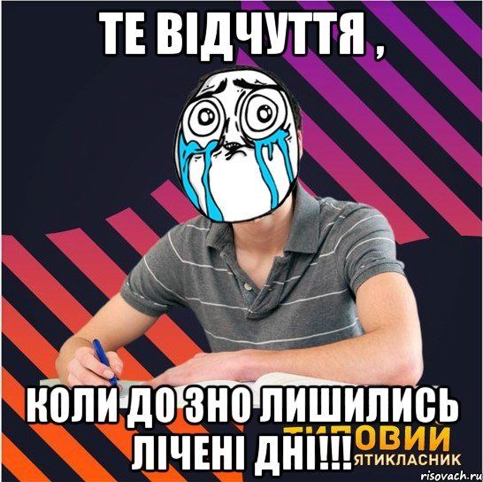 те відчуття , коли до зно лишились лічені дні!!!, Мем Типовий одинадцятикласник