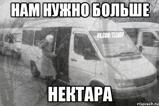 нам нужно больше нектара, Мем тлен1