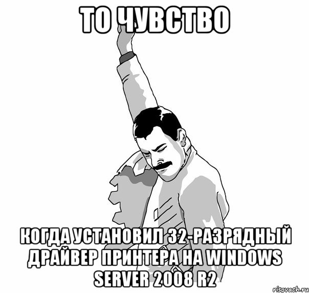 то чувство когда установил 32-разрядный драйвер принтера на windows server 2008 r2, Мем   Фрэдди Меркьюри (успех)