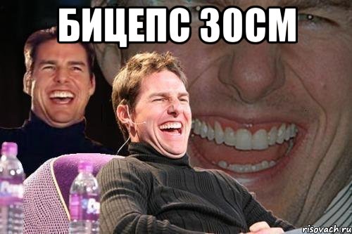 бицепс 30см 