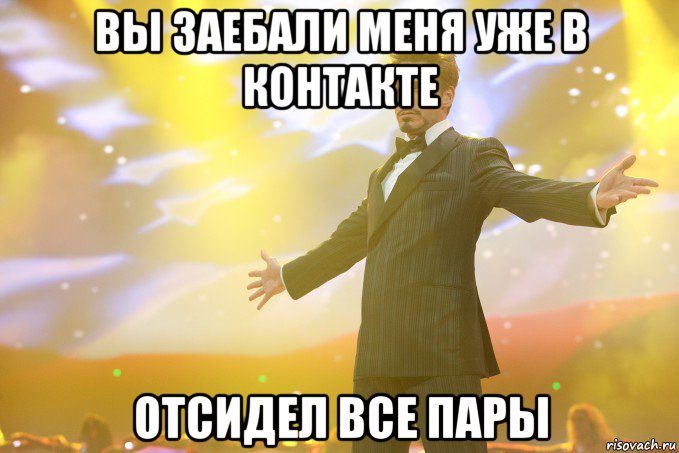 вы заебали меня уже в контакте отсидел все пары, Мем Тони Старк (Роберт Дауни младший)