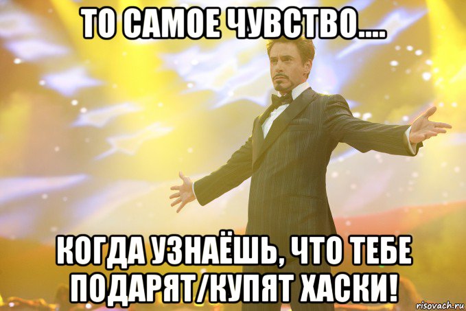 то самое чувство.... когда узнаёшь, что тебе подарят/купят хаски!, Мем Тони Старк (Роберт Дауни младший)