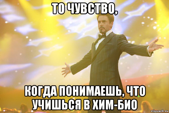 то чувство, когда понимаешь, что учишься в хим-био, Мем Тони Старк (Роберт Дауни младший)