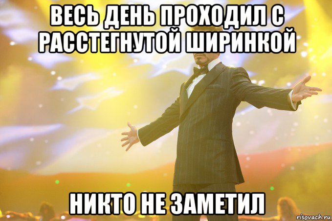 весь день проходил с расстегнутой ширинкой никто не заметил, Мем Тони Старк (Роберт Дауни младший)