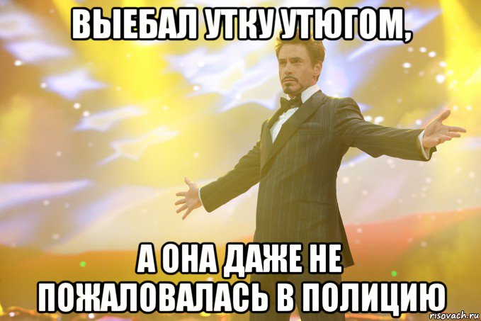выебал утку утюгом, а она даже не пожаловалась в полицию, Мем Тони Старк (Роберт Дауни младший)