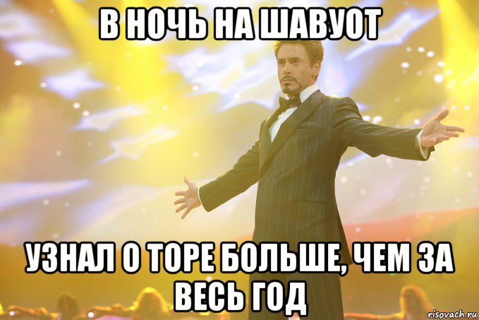 в ночь на шавуот узнал о торе больше, чем за весь год, Мем Тони Старк (Роберт Дауни младший)