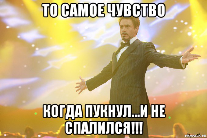 то самое чувство когда пукнул...и не спалился!!!, Мем Тони Старк (Роберт Дауни младший)